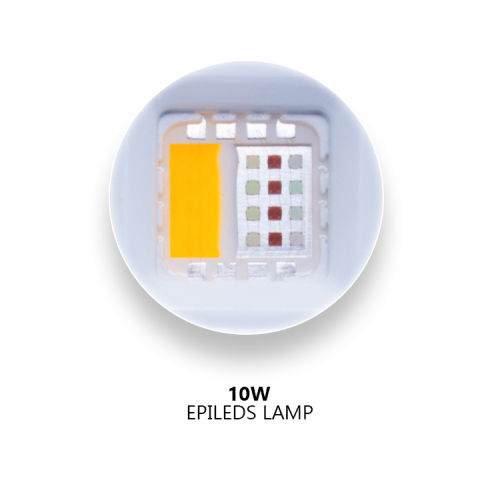 10W RGBW waterproof flood light