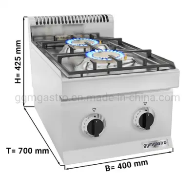 Commercial Kitchen Cooking Equipment Gas Stove Two Burners with Pilot Flame
