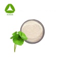 Gotu Kola Extract Powder usado para cápsulas 10: 1