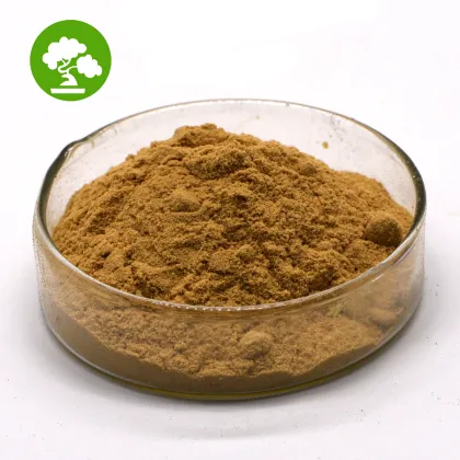 Ceylon Cinnamon Powder/Ceylon Cinnamon Stick Extract