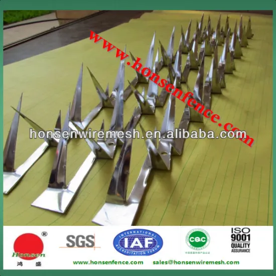 Wall Spike one top of wall & fence