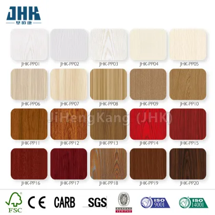 JHK Plastic Door PVC Door Kitchen Door
