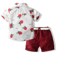 Vestuário infantil de verão Roupas infantis Conjunto de duas peças