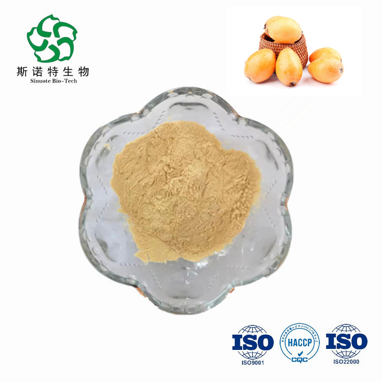 High Quality Loquat Powder