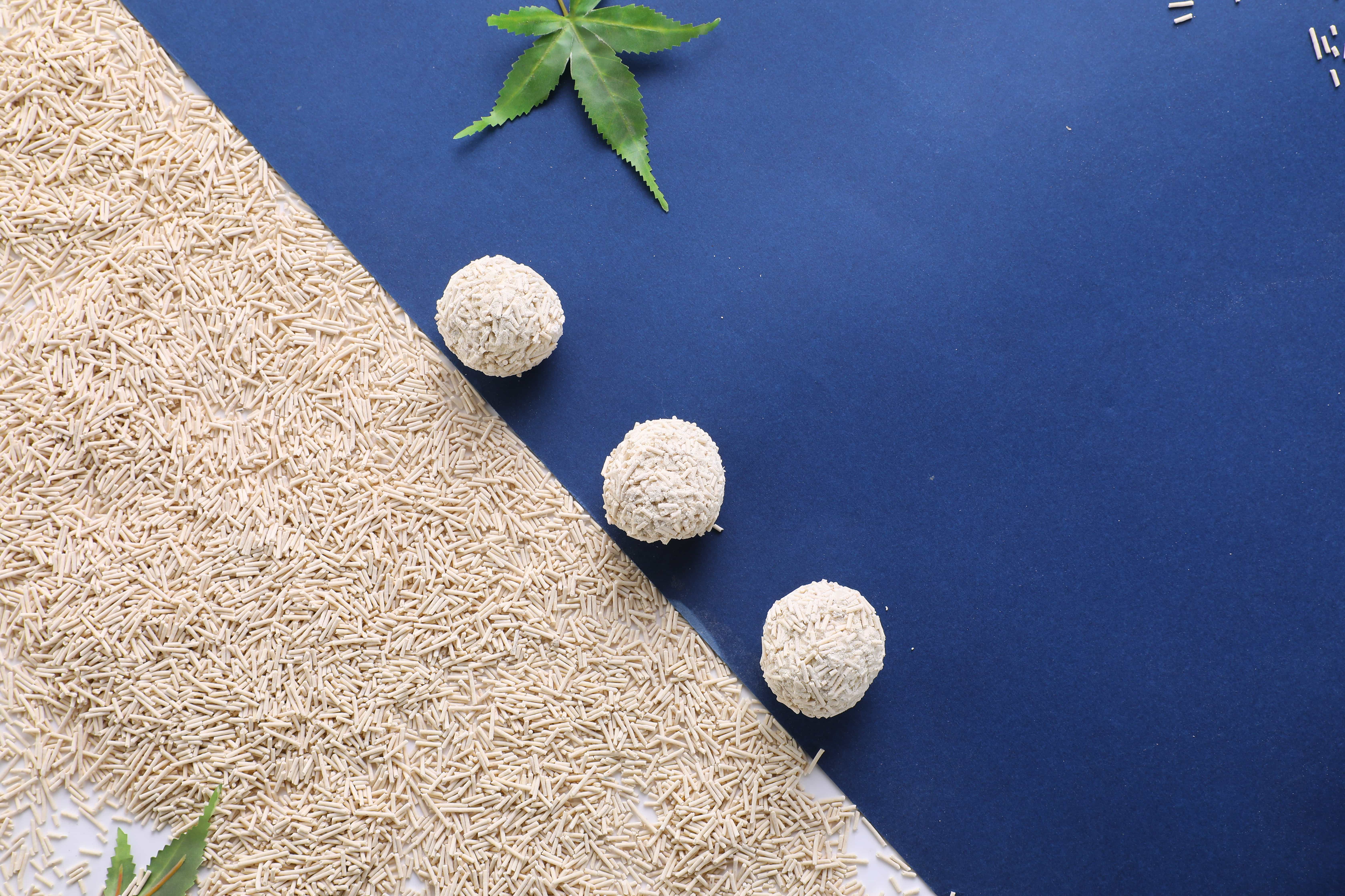 Natural Tofu Cat Litter Promotes Sustainable Living