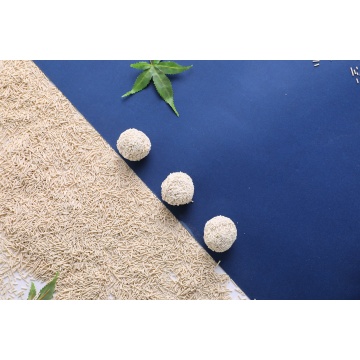 Natural Tofu Cat Litter Promotes Sustainable Living