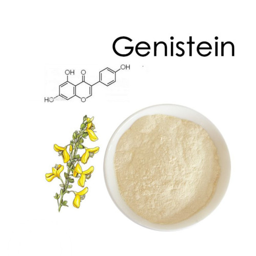 Genistein Extract Sophora Fruit Extract