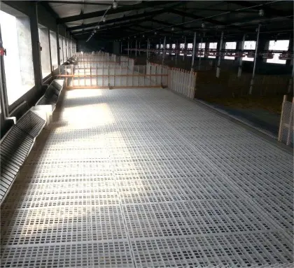 Chicken and duck house slatted floor