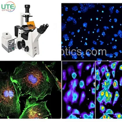 Advanced Fluorescence Microscope Optical Filter