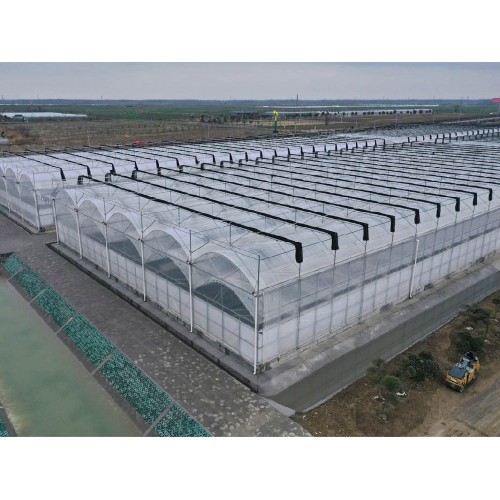 Functional Film Multi Span Greenhouse