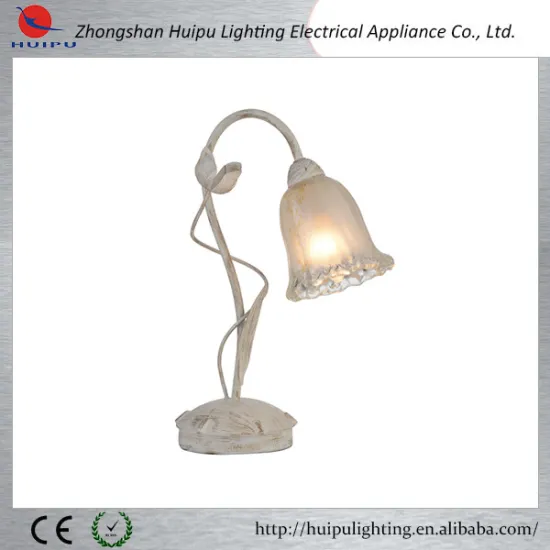 European electric table lamp magnifying glass indoor lamp