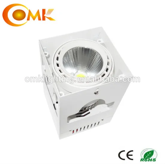 30W LED Grille Light OMK-GS007S with driver