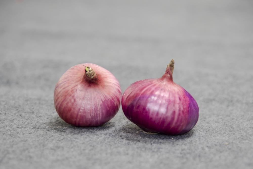 Fresh Onion In Bulk Cheap Red