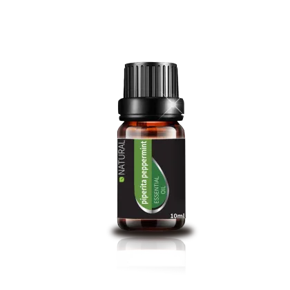 100% pure natural organic Tea tree leaf oil tea tree essentail oil for aromatherapy