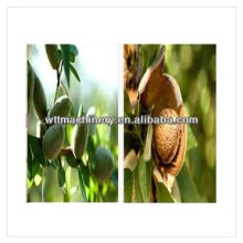 Almond shelling machine