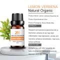 High Quality Low Price Lemon Verbena Essential Oil