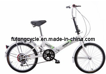 Colorful Folding Bike