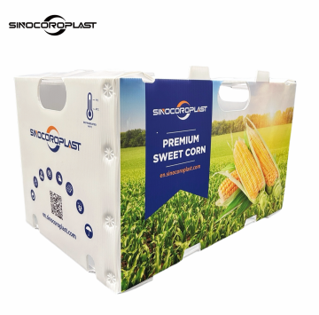 Custom Printed PP Recycled Corrugated Fruit and Vegetable Storage Boxes