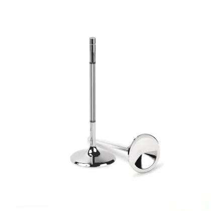 MWM Car Spare Parts Engine Valve