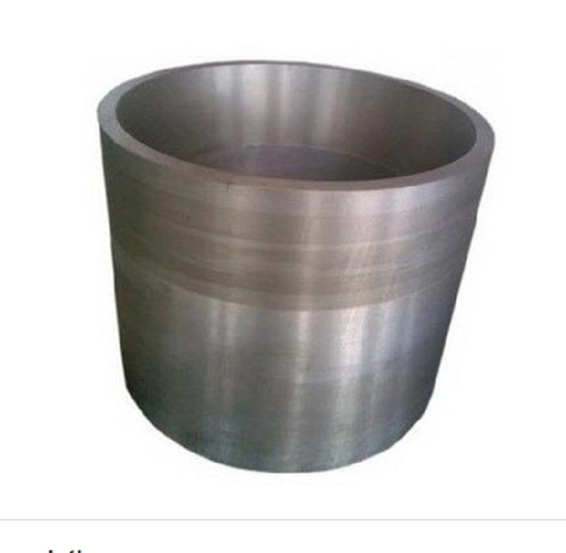 X8CrMnN18-18 Forging Steel Retaining Rings