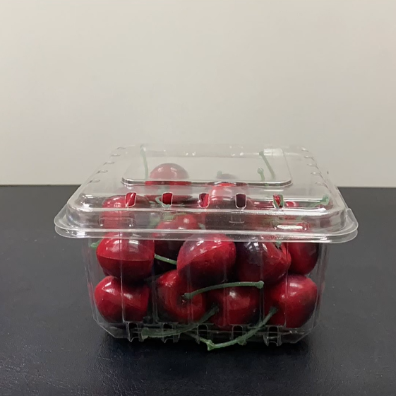 Transparent Blueberry Plastic Packaging