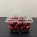 Transparent Blueberry Plastic Packaging Clamshell Box