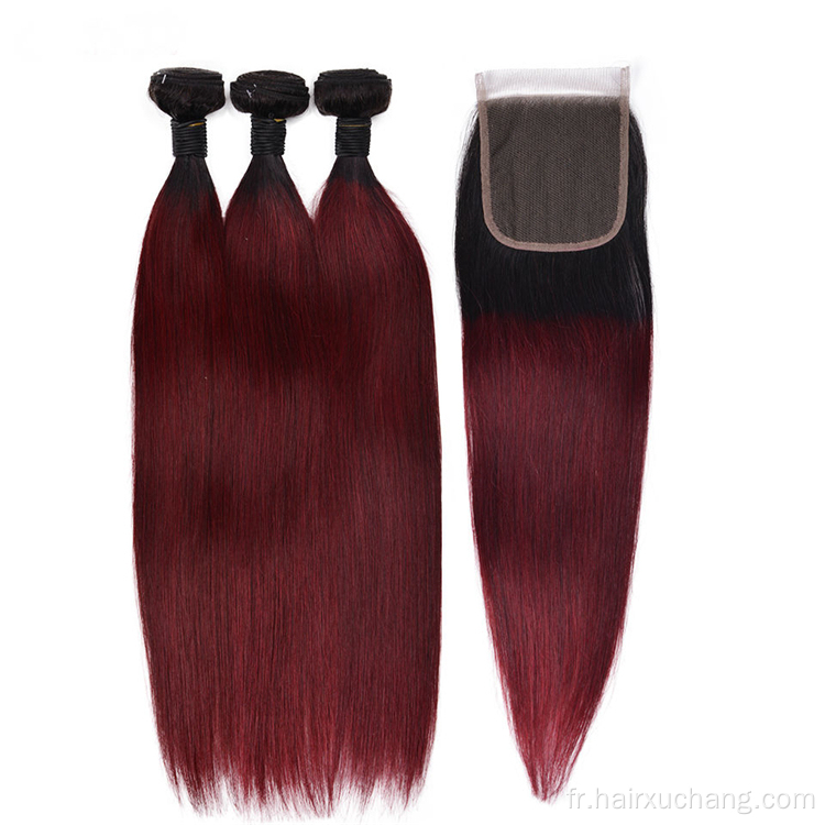Prix ​​bon marché cru indien tissage couleur 1b / 99J extensions de cheveux paquets de cheveux humains vierges crus avec fermeture