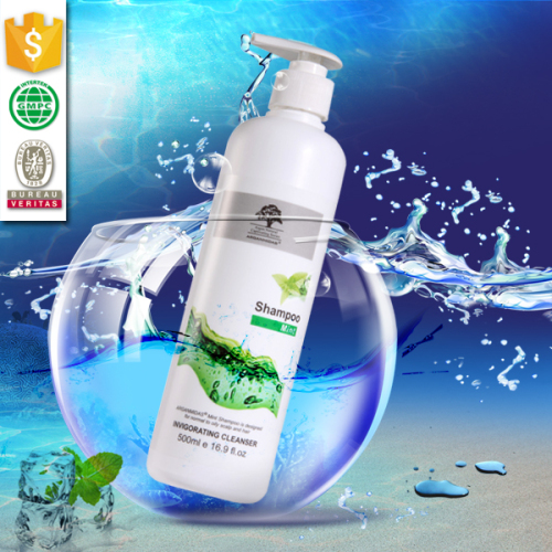 Top seller natural and organic high end hotel shampoo