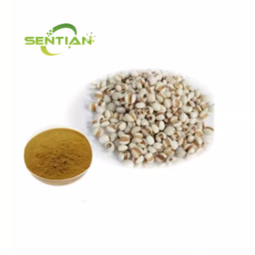 Natural Coix Seed Extract Powder