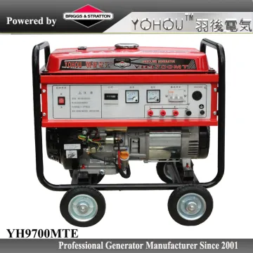 6000Watt 230 volt portable generator