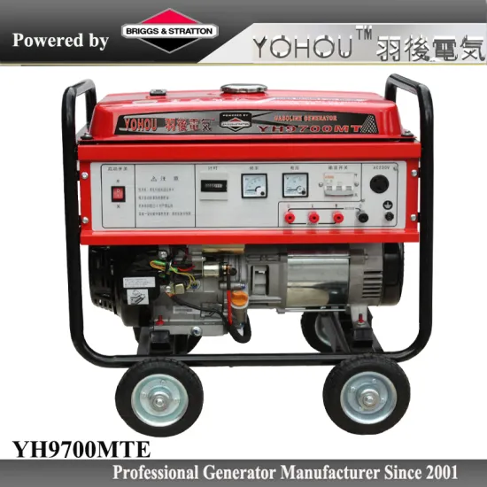 6000Watt 230 volt portable generator