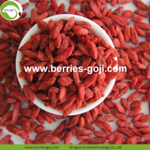 Fornecimento de fábrica Nutrição natural Fruta seca Goji Berries