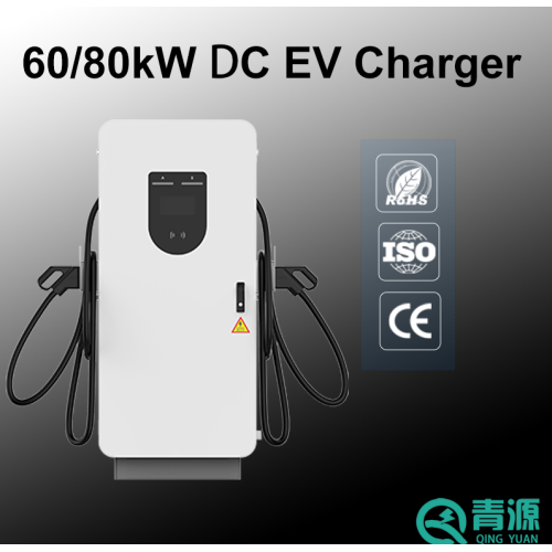 60kw 80kW ग्राउंड माउंटेड डीसी चार्जर डबल गन