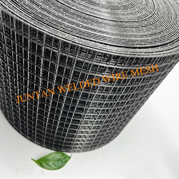 6 "x100 'الأسود PVC Squirrel Guard Steel Wire Mesh