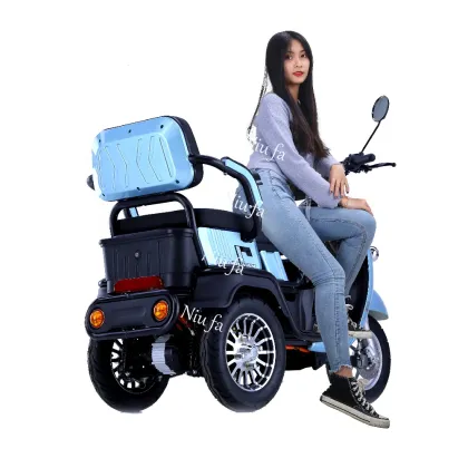 Electric Passenger Tricycle Cargo Trike