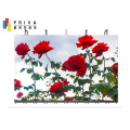 /msite/products/detail/productid/62527400/id/538590.html