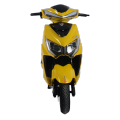 OEM 800W E-Motorcycle mit Dual ABS | 15-tägige CKD-Bulk-Lieferung | ISO9001 zertifiziert