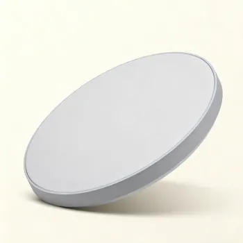 Contemporary LED Ceiling Light for Home Interior