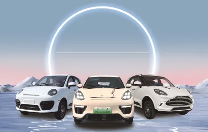 Factory Price Electric Cars: 5-Wheel Sports Cars for Adults