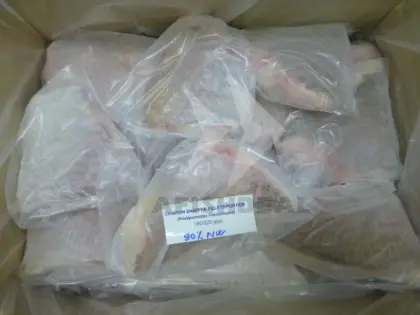 RED MULLET - CRIMSON SNAPPER - RED SNAPPER