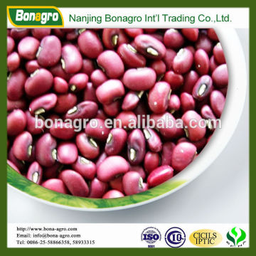 Red Cowpea Seeds