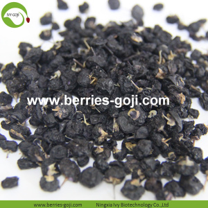 Factory Supply Price Healthy Black Dried Goji