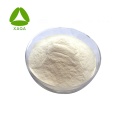 Synanthrin 98% Inulin Powder Chicory Root Extract
