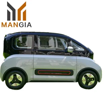 Wuling Baojun Kiwi Nade in China with Low Price 2023 New Electric Car