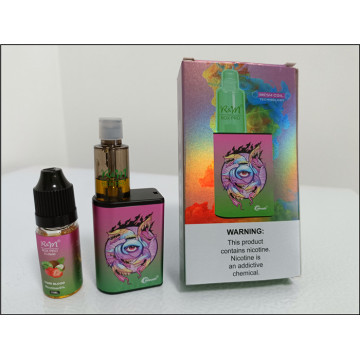 Dispositivo Vape Wholesale R&amp;M Box Pro 6000 Puffs