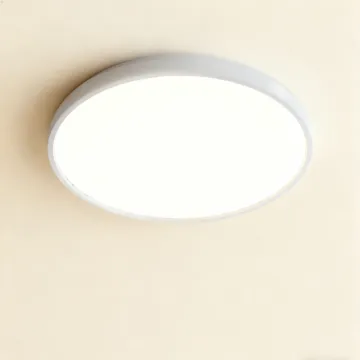 Ceiling light for clean interiors