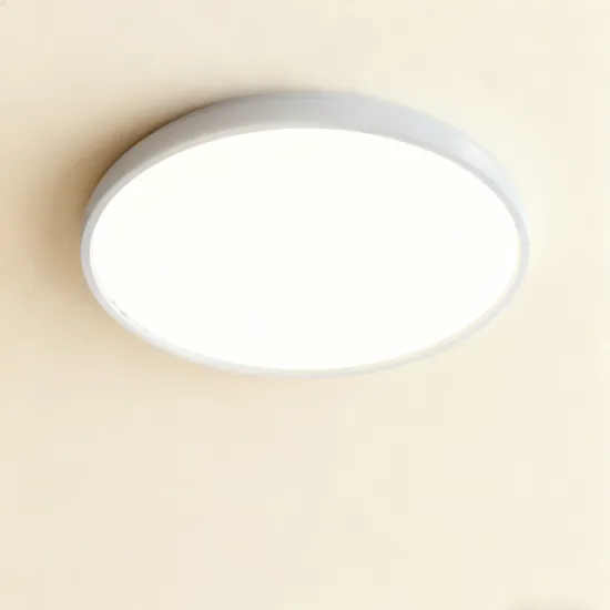 Ceiling light for clean interiors