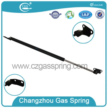 trunk gas spring