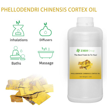 روغن عصاره خالص PHELLODENDRON AMURENSE پوست و روغن قشر PHELLODENDRI