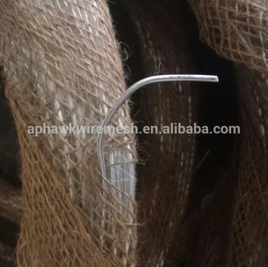 hot sale bwg20 electro galvanized wire with high quality